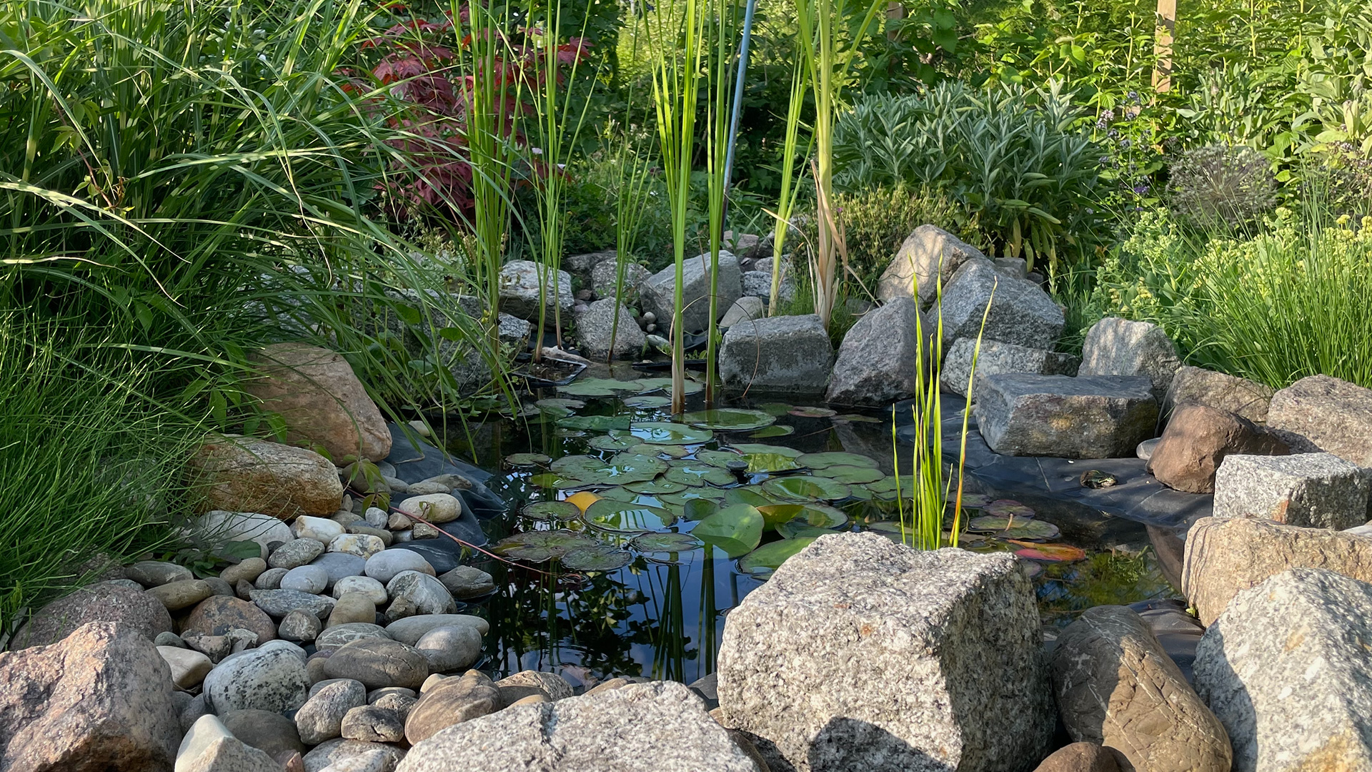 Kleiner mit Steinen verschiedener Größe umringter Gartenteich. c/TimWendland