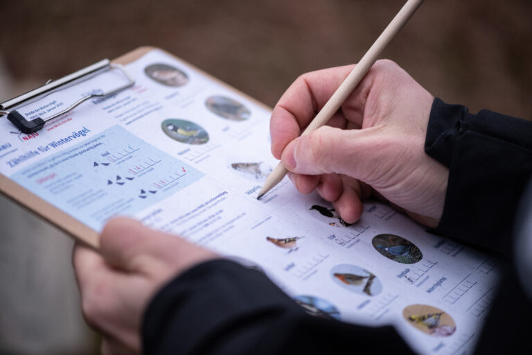 Nahansicht des Zählhilfeformulars für die Stunde der Wintervögel auf einem Klemmbrett. Eine Hand hält das Brett, während die rechte Hand es mit einem Bleistift ausfüllt. Foto: NABU/S. Hennigs