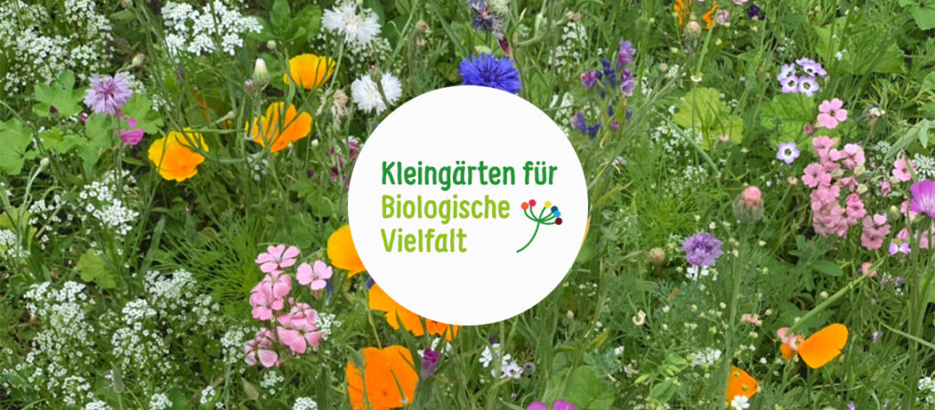 Blumenwiese mit bunten Wildblumen und rundem Logo „Kleingärten für Biologische Vielfalt“.