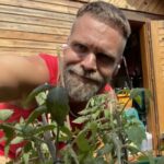 Profilbild von timwendland