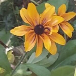 Profilbild von nadine